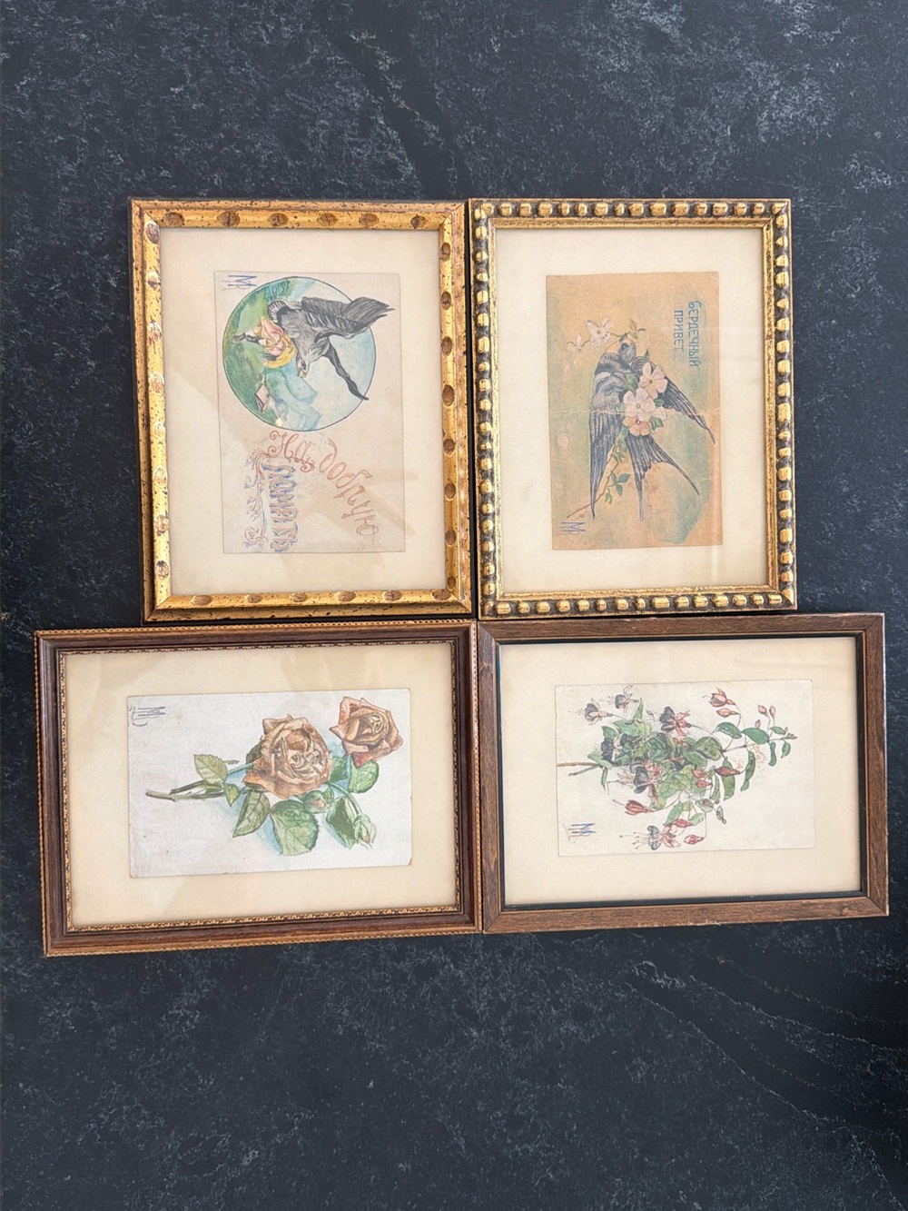 Vintage Framed Botanical & Bird Art Prints - Set of 4 (Signed MR)